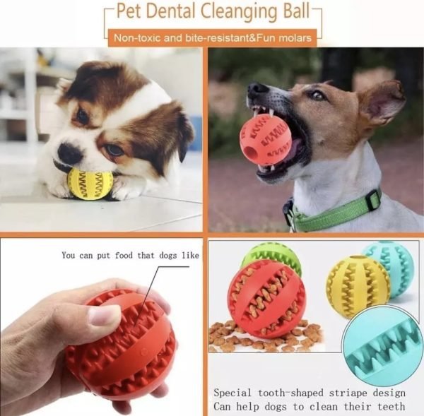 Pelota dental - Imagen 2