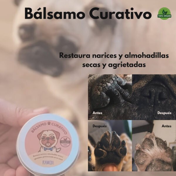 Kit patitas saludables - Imagen 3
