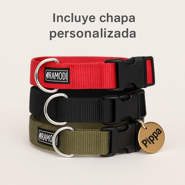 Collar + tag de acero quirúrgico