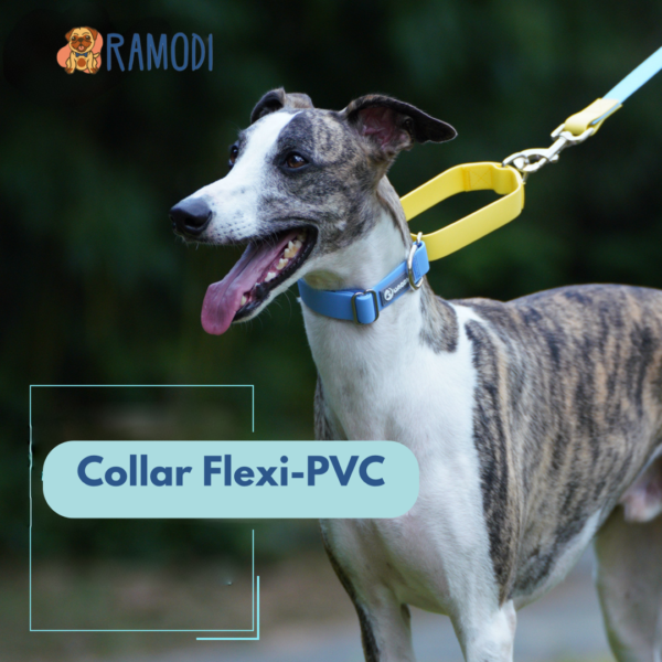 Collar Martingale - Imagen 5