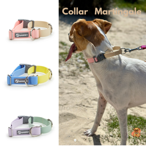 Collar Martingale