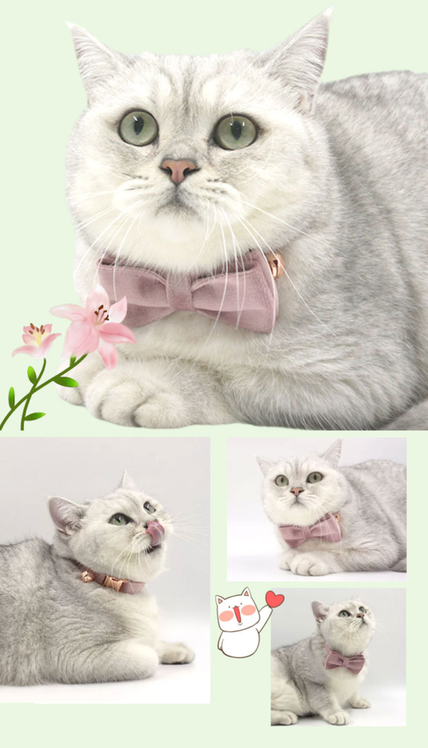 Moño para collar - Imagen 4