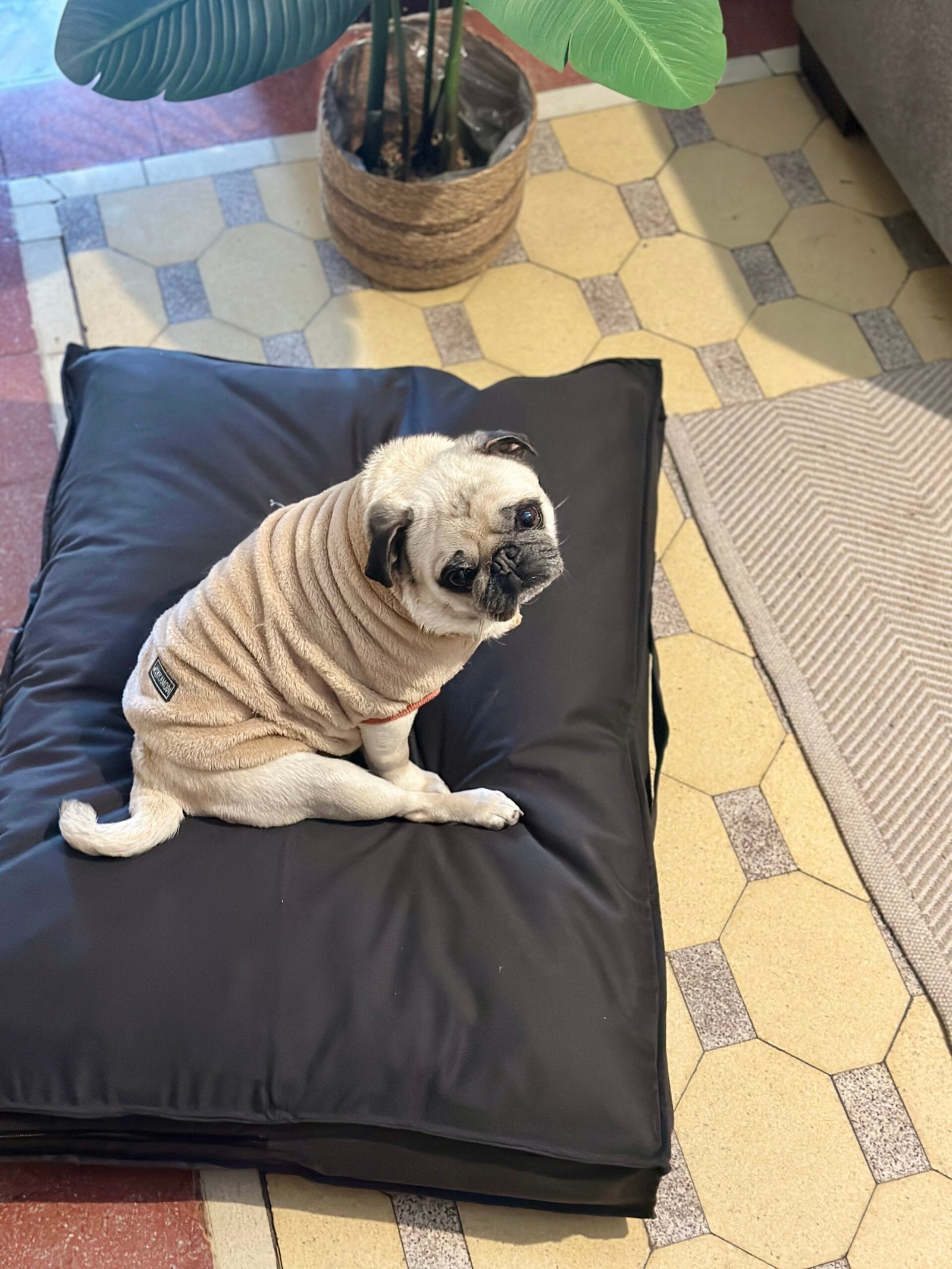 Cama futón Soft - Imagen 5