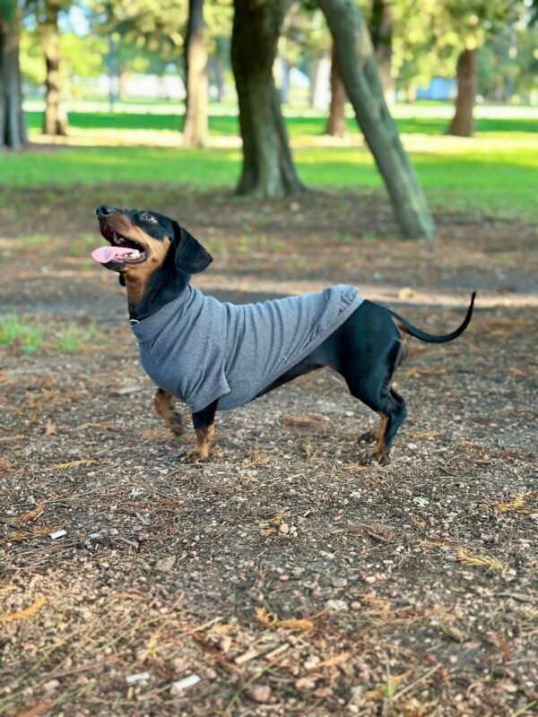 Polera hipoalergénica