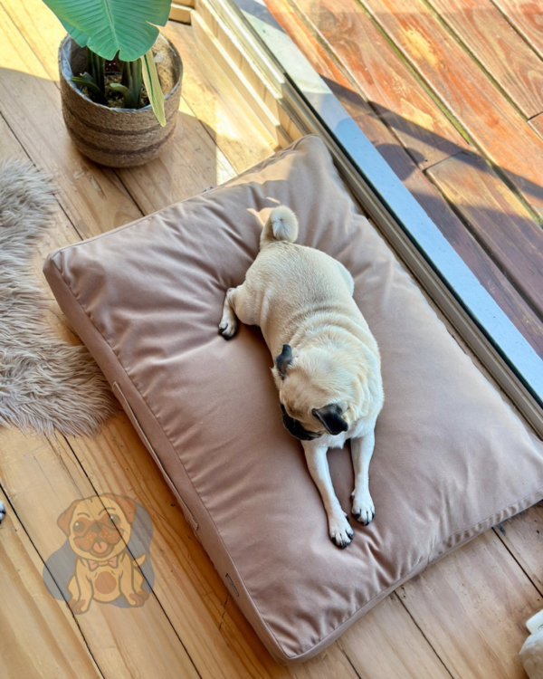 Cama futón Soft