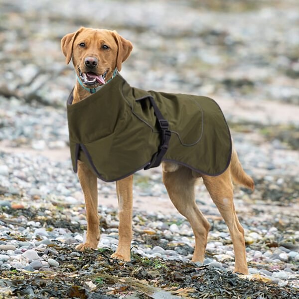 Capa impermeable con forro - Imagen 8