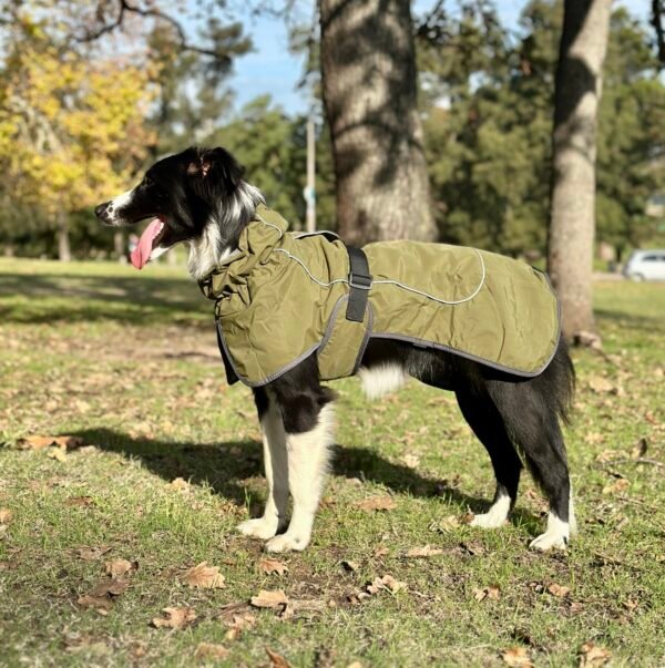 Capa impermeable con forro - Imagen 9