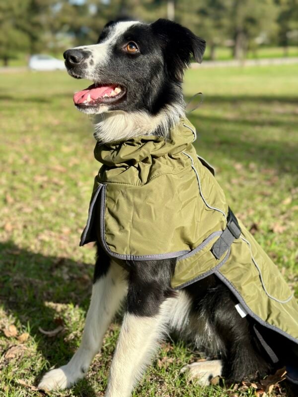 Capa impermeable con forro - Imagen 7
