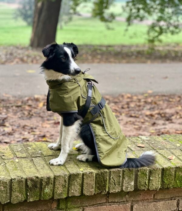 Capa impermeable con forro