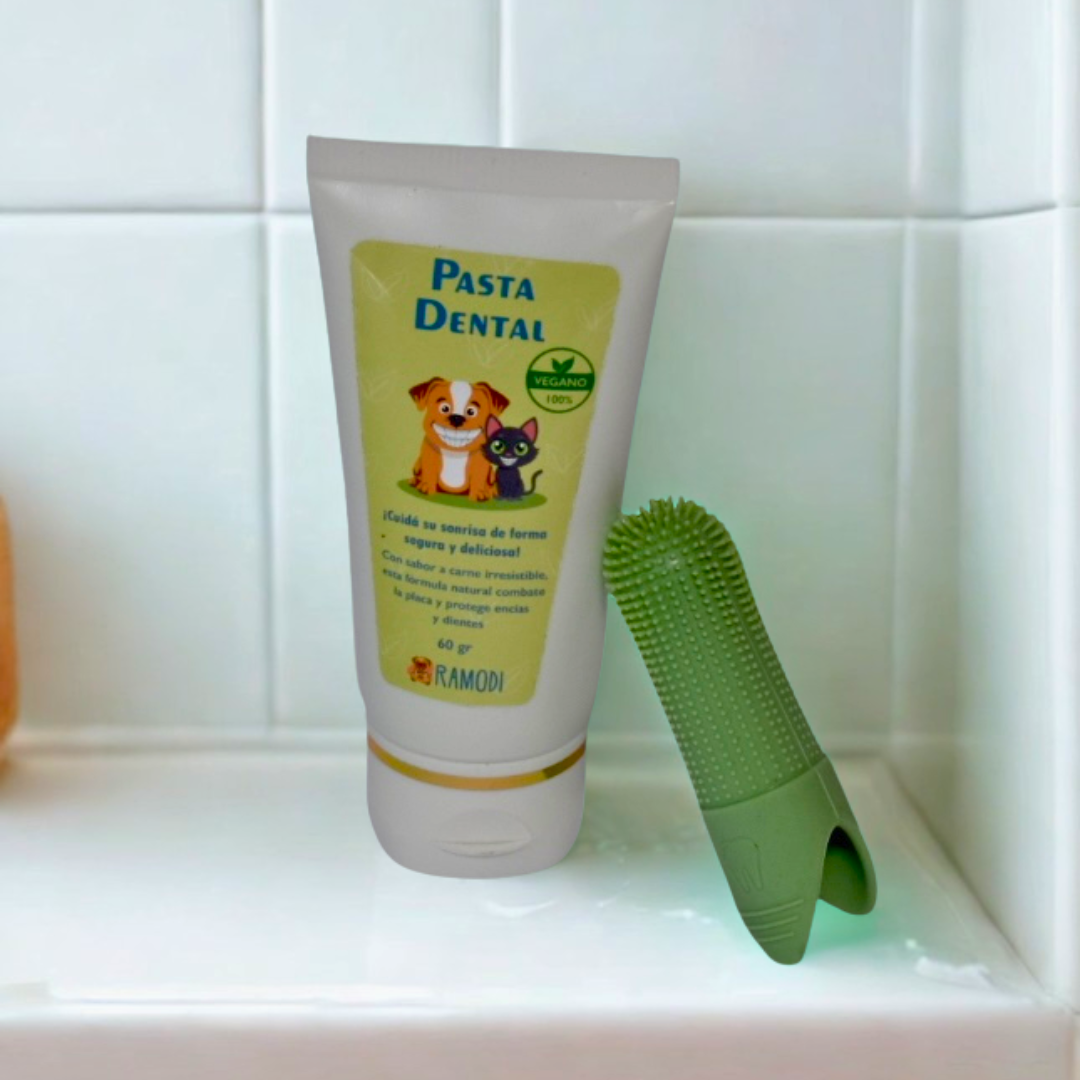 Pasta dental
