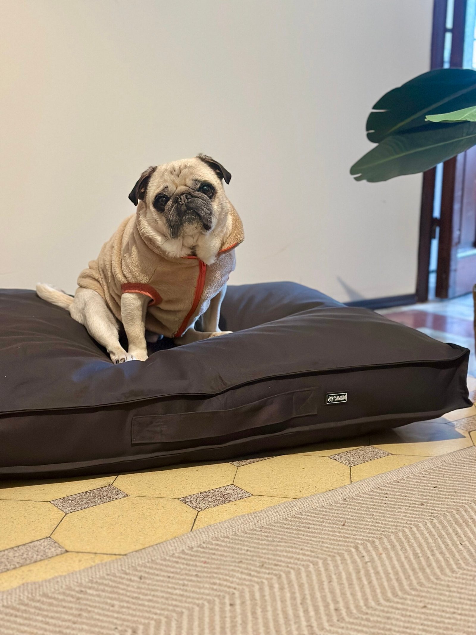 Cama futón Soft - Imagen 7