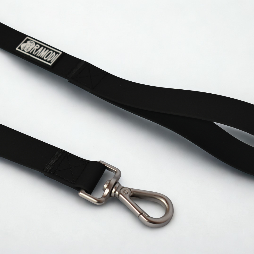 Correas Premium - Imagen 4