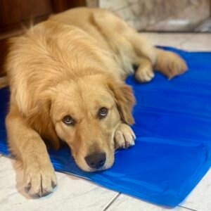 Colchoneta refrigerante grande