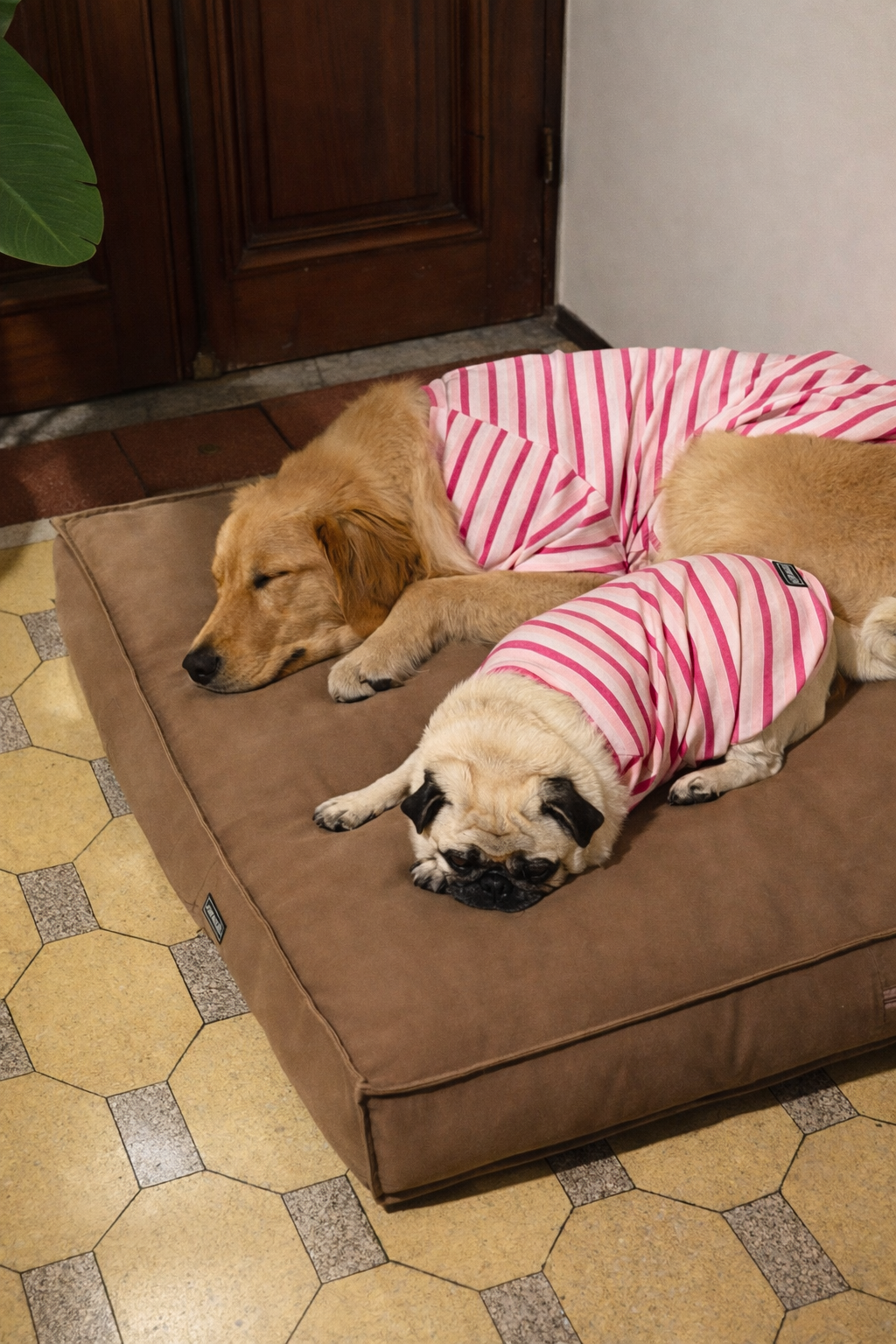 Remera Básica - Imagen 6