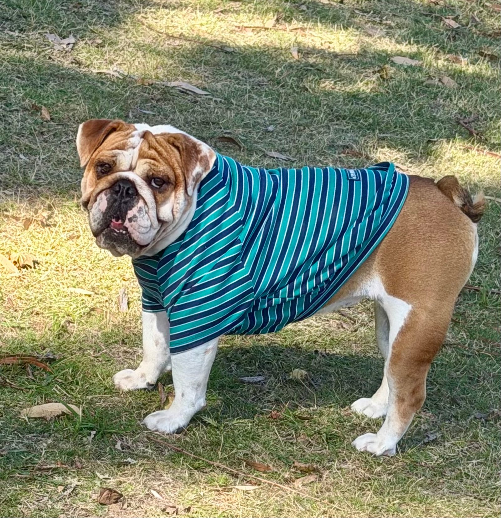 Remera Básica - Imagen 4