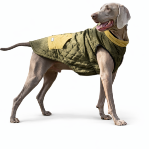 Chaleco Urban Impermeable