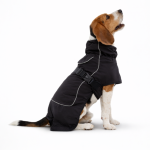 Gabardina Impermeable
