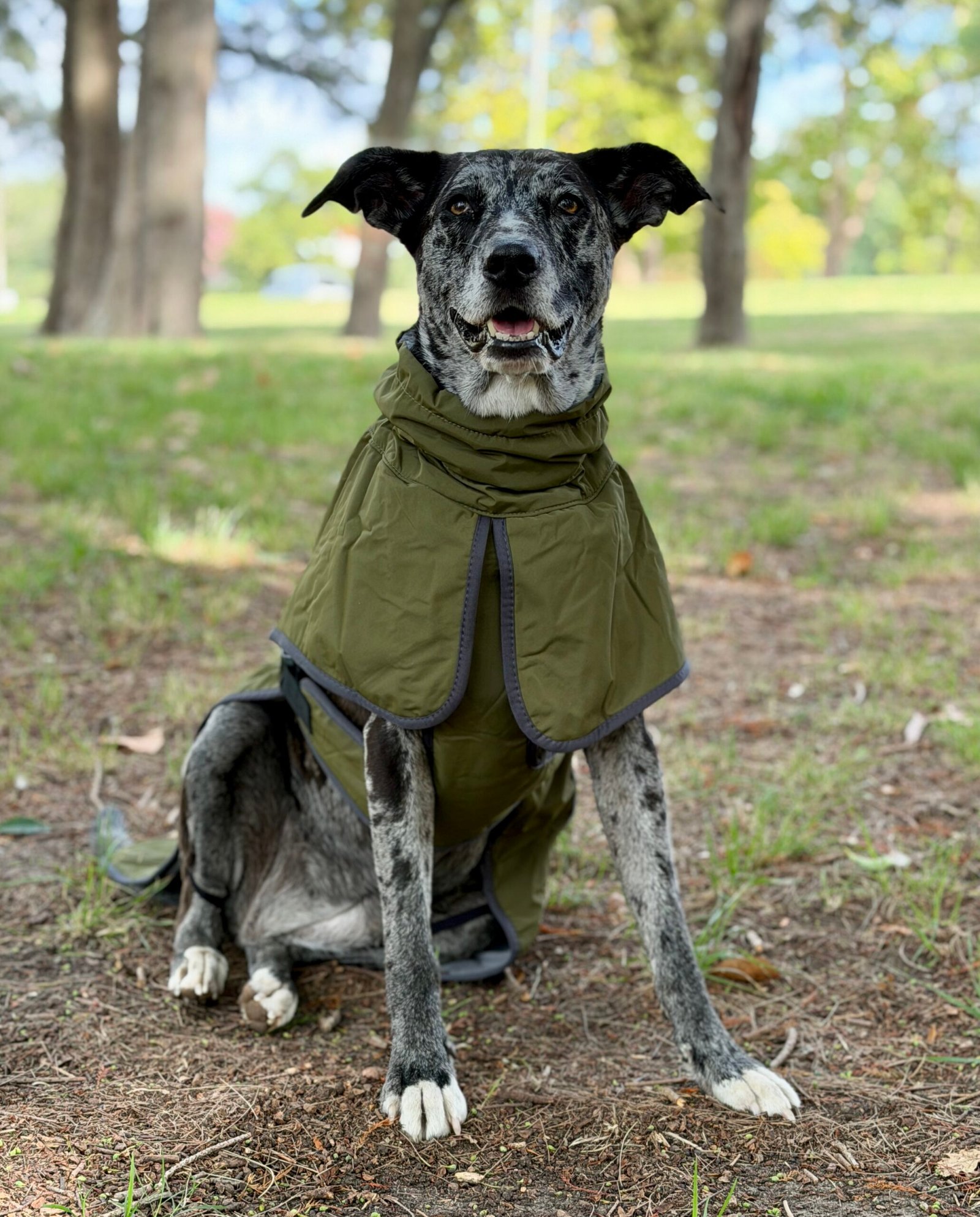 Gabardina Impermeable - Imagen 8