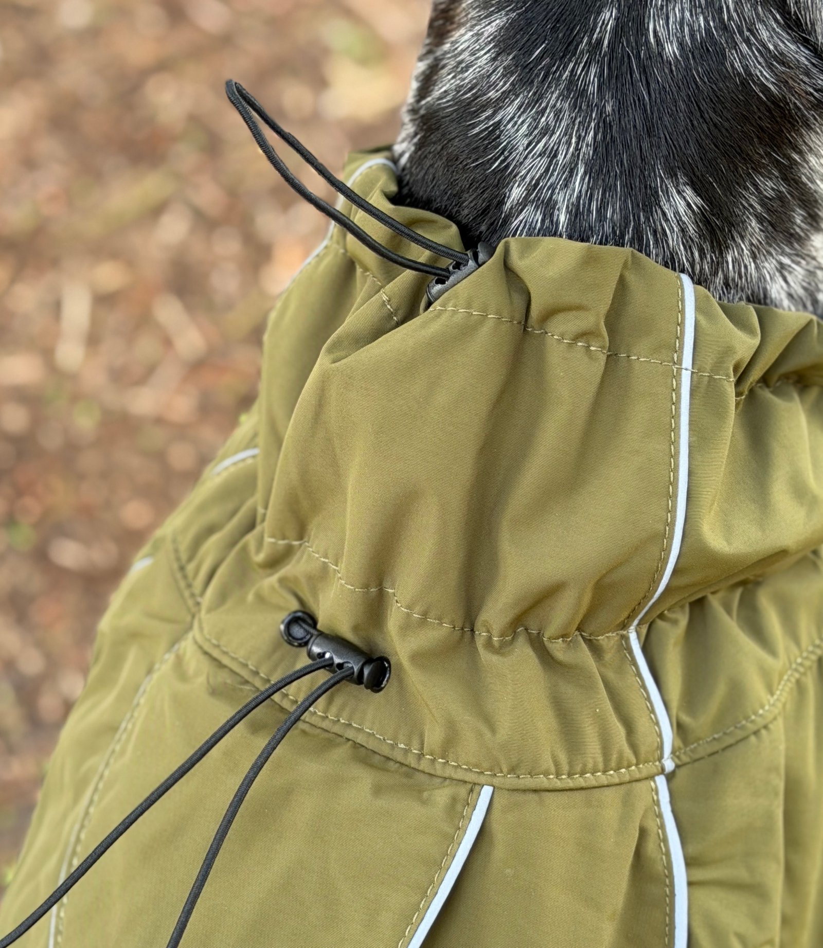 Gabardina Impermeable - Imagen 10