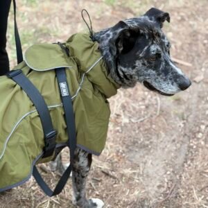 Gabardina Impermeable