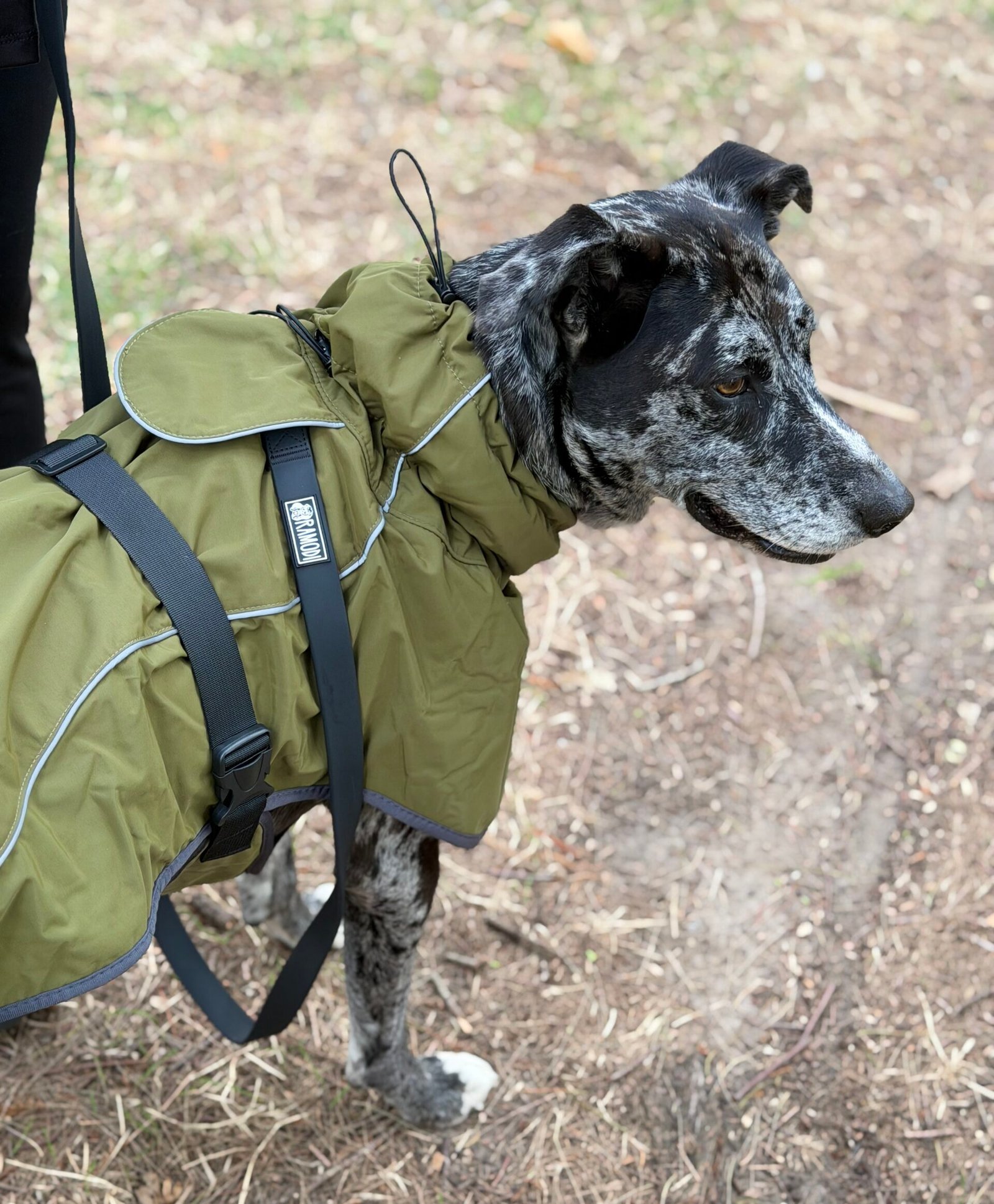 Gabardina Impermeable