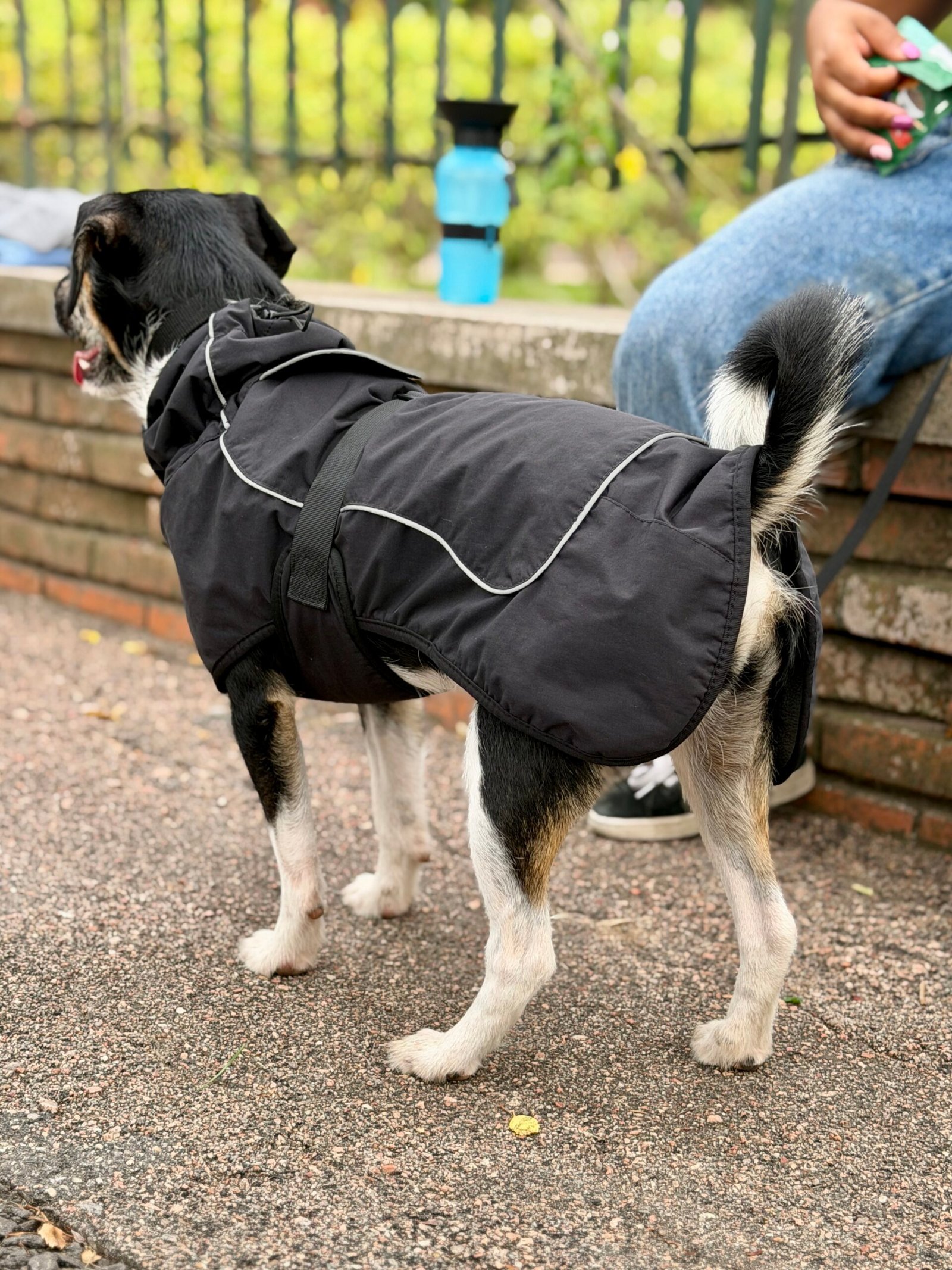 Gabardina Impermeable - Imagen 5