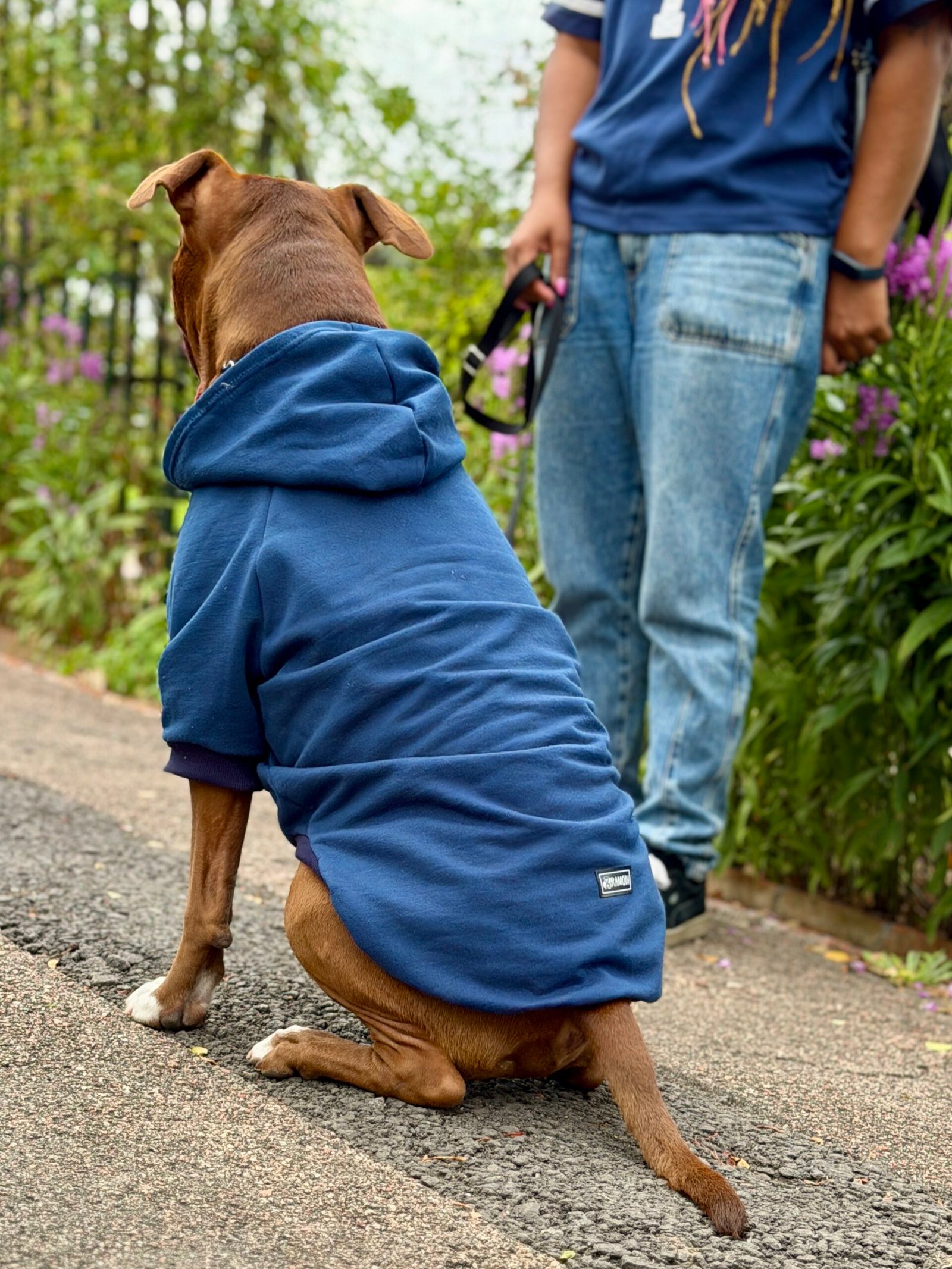Buzo Deportivo - Imagen 7