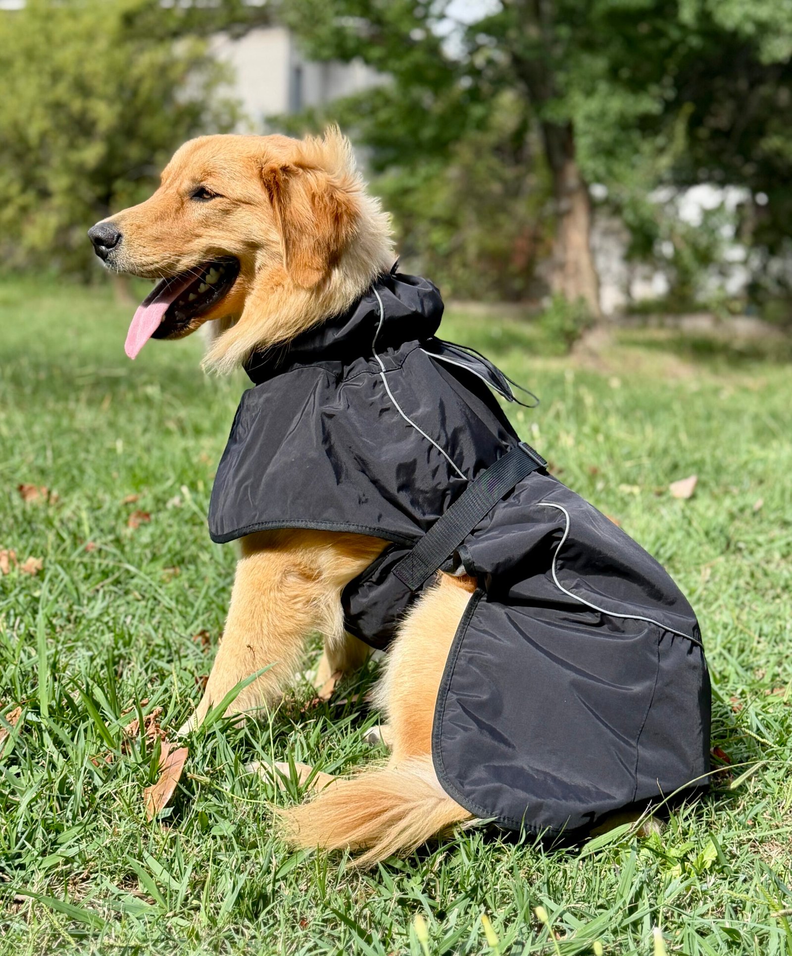 Gabardina Impermeable - Imagen 2