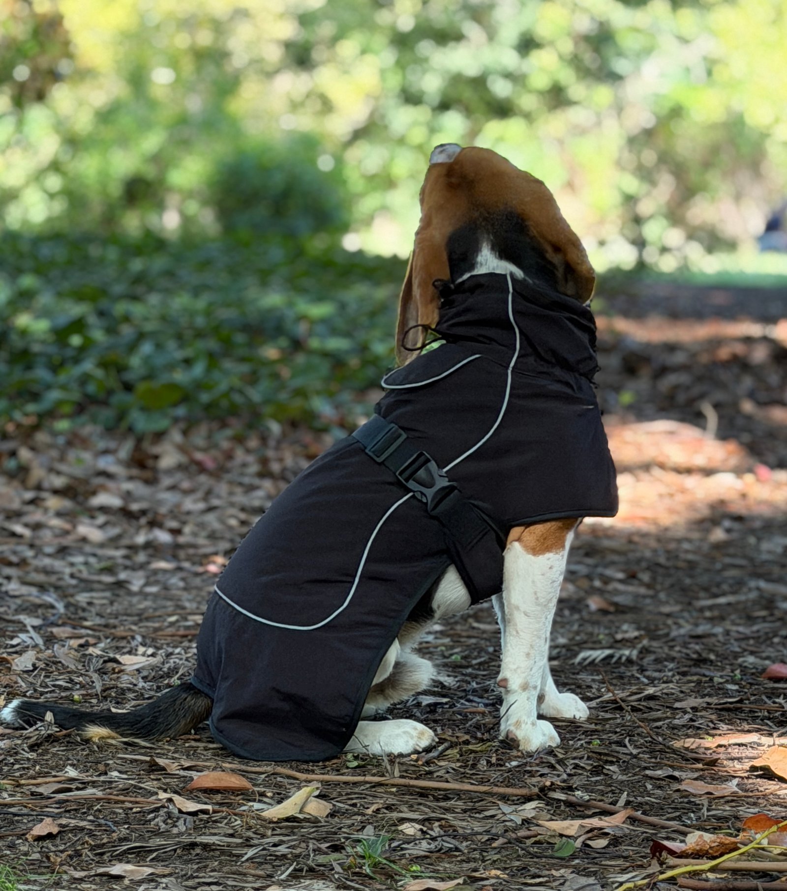 Gabardina Impermeable - Imagen 15