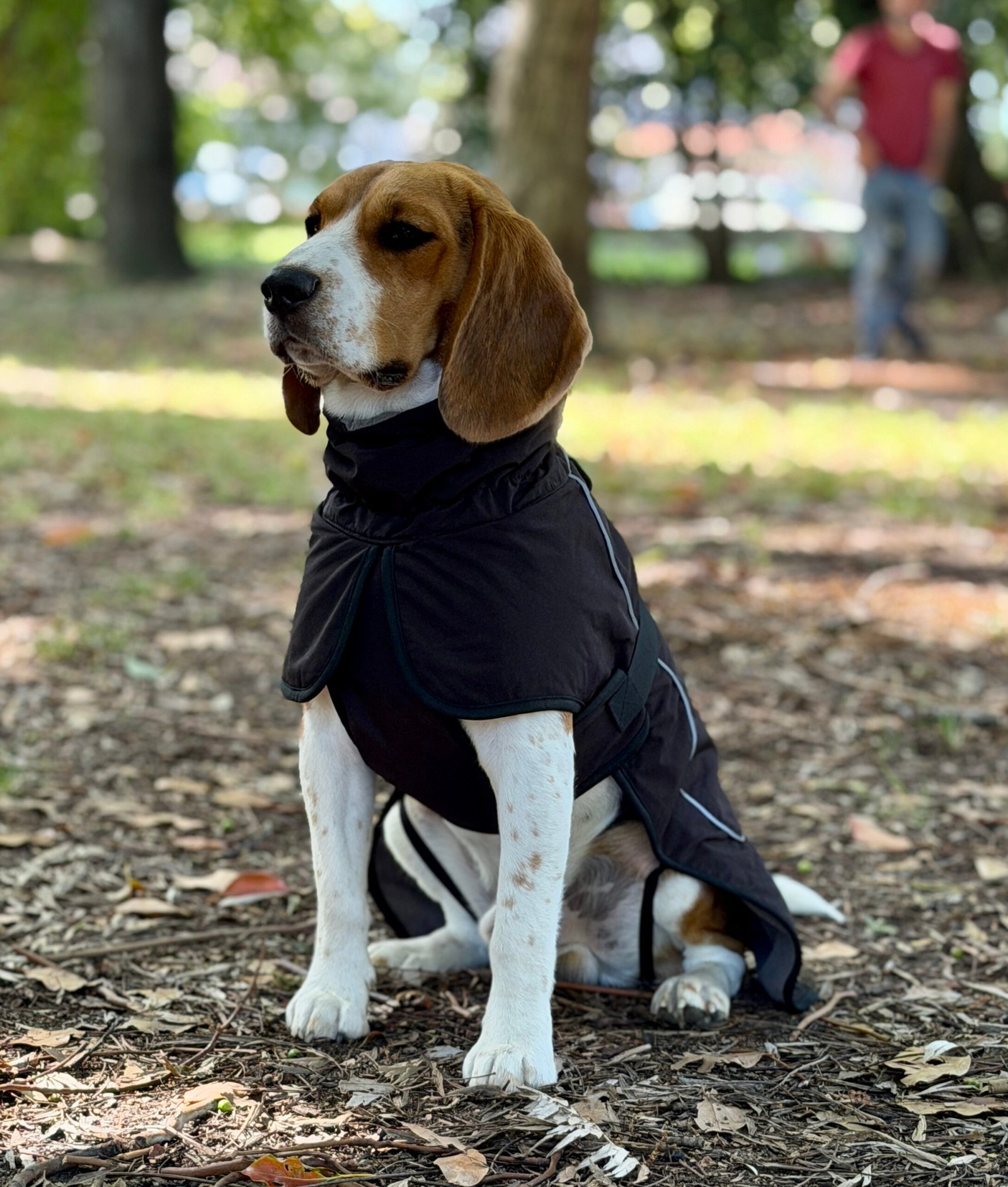 Gabardina Impermeable - Imagen 14