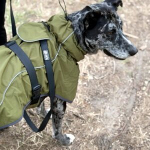 Gabardina Impermeable