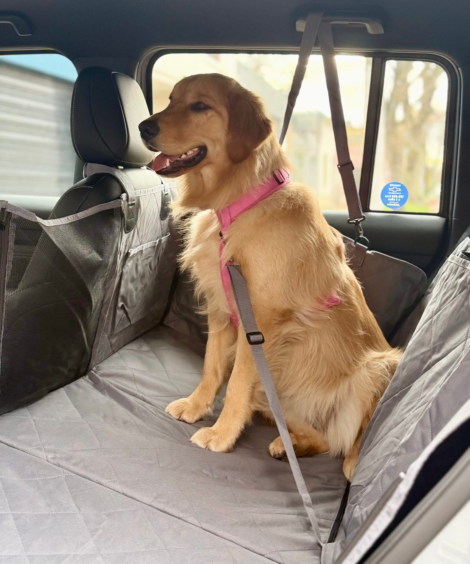 Cubreasiento Premium Reforzado para Perros