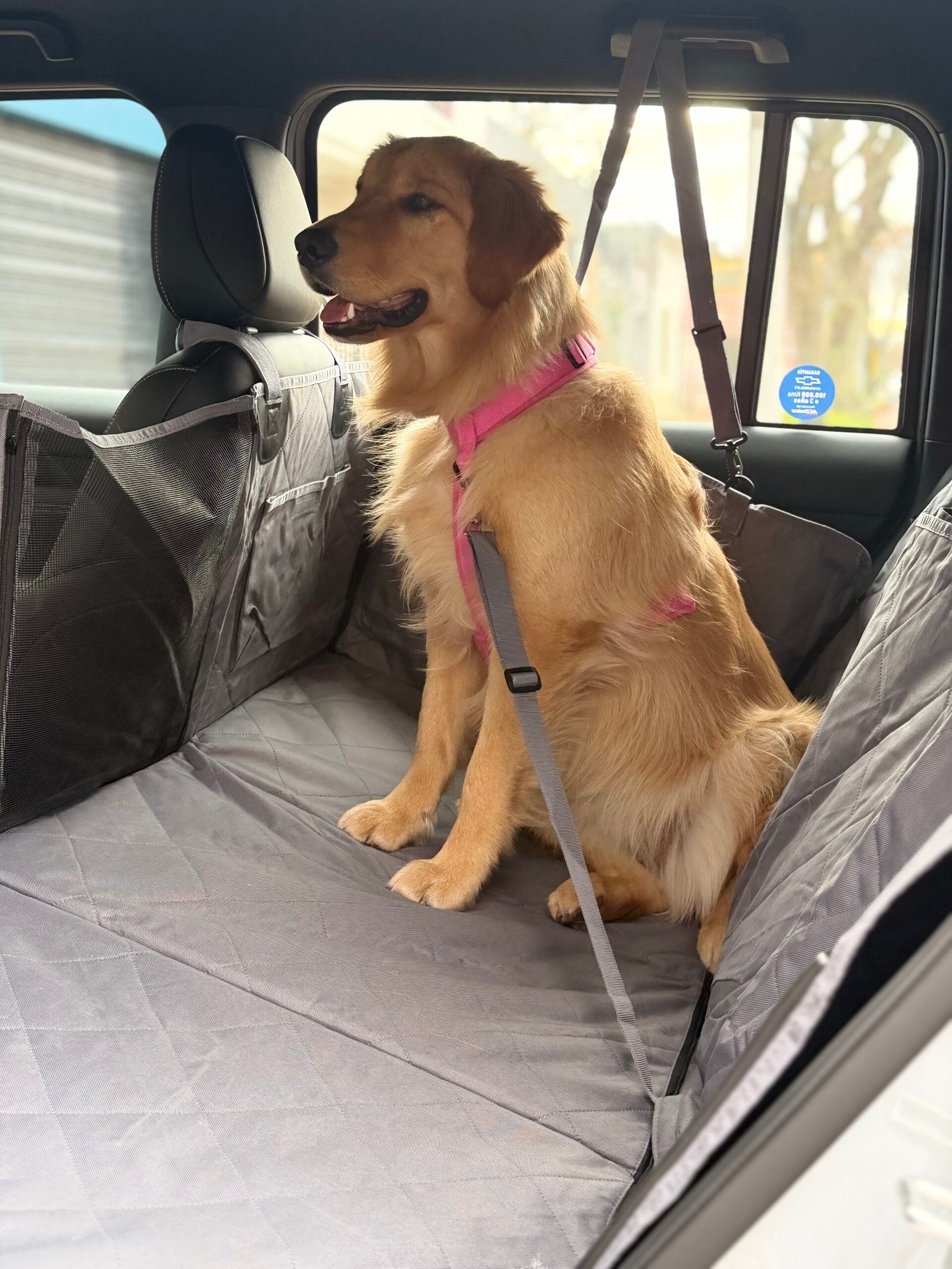 Cubreasiento Premium Reforzado para Perros - Imagen 4