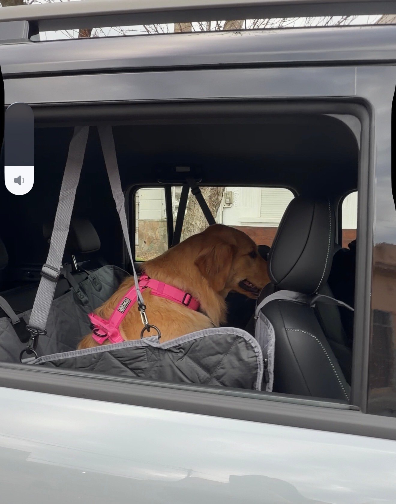 Cubreasiento Premium Reforzado para Perros - Imagen 2