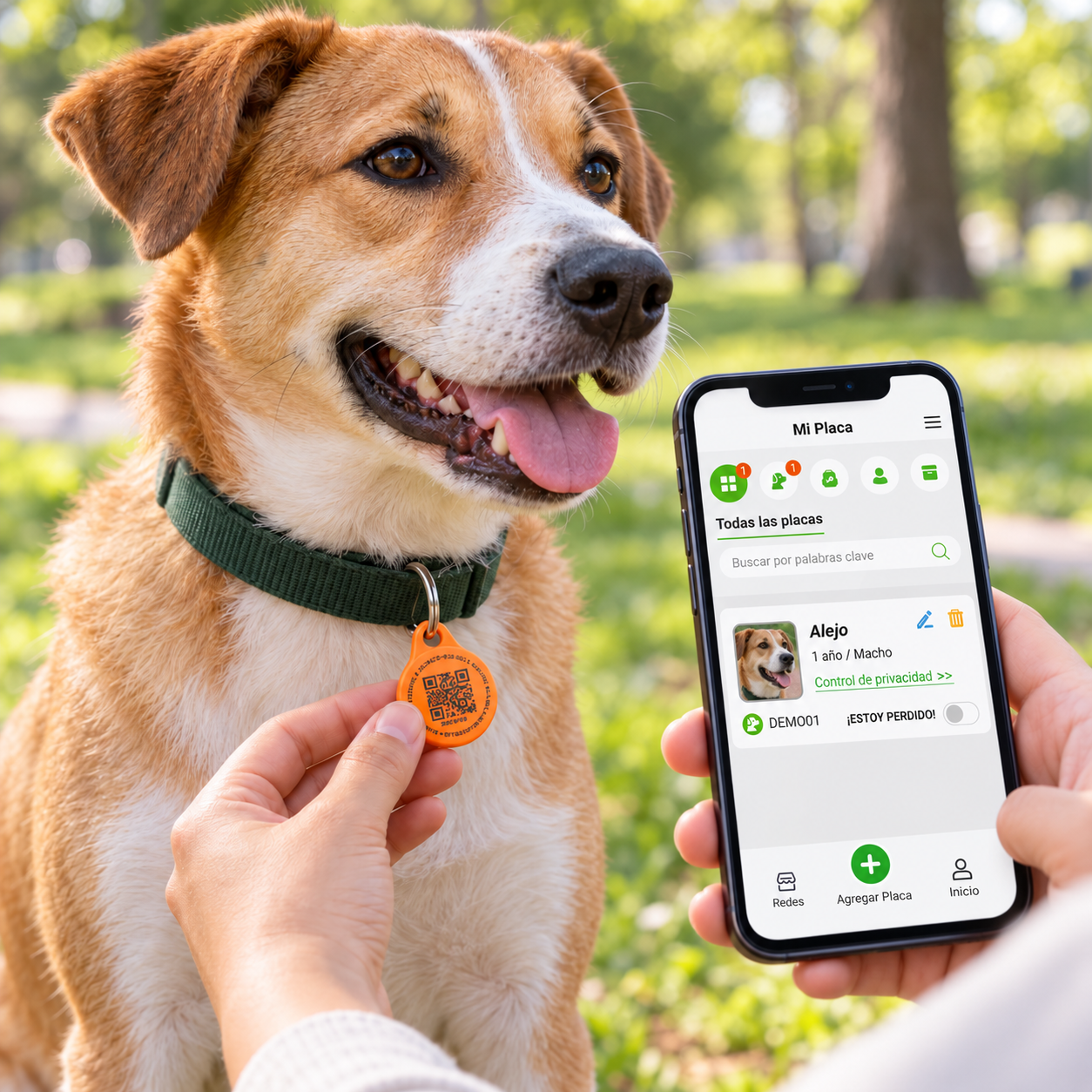 Chapita de identificación con QR para perros y gatos